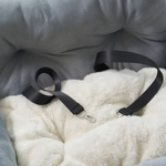 Small Dog Car Safety Seat