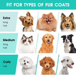 Pet Grooming Kit & Vacuum, 3 Suction Mode, 5 in 1- 2.5L