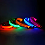 LED Glow Dog Collar for Visibility & Style