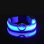 LED Glow Dog Collar for Visibility & Style