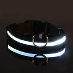 LED Glow Dog Collar for Visibility & Style
