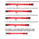 LED Glow Dog Collar for Visibility & Style