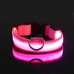 LED Glow Dog Collar for Visibility & Style