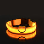 LED Glow Dog Collar for Visibility & Style