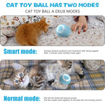 Smart Rolling Cat Toy Ball