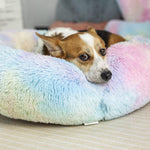 RainBow - Fluffy Plush bed