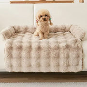 Premium Dog Sofa Bed 