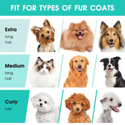 Pet Grooming Kit & Vacuum, 3 Suction Mode, 5 in 1- 2.5L 