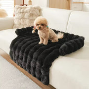 Premium Dog Sofa Bed 