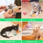 Cat Toys Pineapple, 6 Pack, Catnip Toys for Cats,Interactive Indoor Kitten Kicker Kitty Dental Catnip Cat Toy