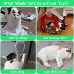 Cat Toys Pineapple, 6 Pack, Catnip Toys for Cats,Interactive Indoor Kitten Kicker Kitty Dental Catnip Cat Toy