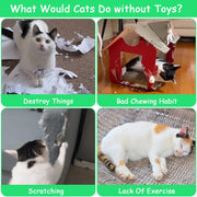 Cat Toys Pineapple, 6 Pack, Catnip Toys for Cats,Interactive Indoor Kitten Kicker Kitty Dental Catnip Cat Toy