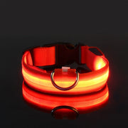 LED Glow Dog Collar for Visibility & Style