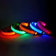 LED Glow Dog Collar for Visibility & Style