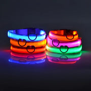 LED Glow Dog Collar for Visibility & Style