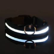 LED Glow Dog Collar for Visibility & Style