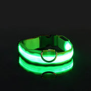LED Glow Dog Collar for Visibility & Style