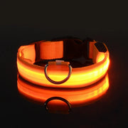 LED Glow Dog Collar for Visibility & Style
