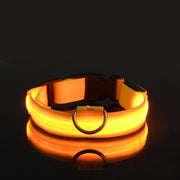 LED Glow Dog Collar for Visibility & Style