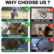 Collar with Apple Air Tag Holder 